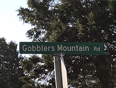 Branson West Gobblers Mountain Homes For Sale Charlie Gerken