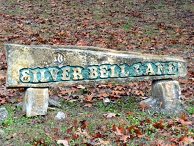 Kimberling City Turners Silver Bell Homes For Sale Charlie Gerken