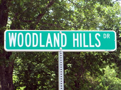 Walnut Shade, Missouri Woodland Hills Estates homes for sale Charlie Gerken